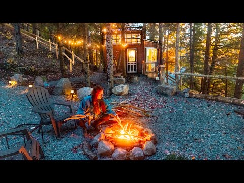 Видео: Мечтательное приключение в осеннем домике на дереве