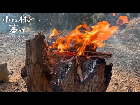 Видео: [Шведский факел] Сжигание гигантских бревен / Приготовление сока кабана с собранными дровами