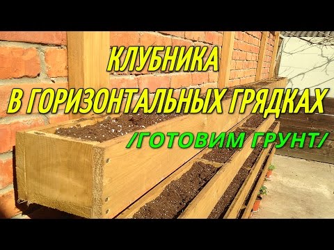 Видео: Грядка для клубники(ГОТОВИМ ГРУНТ). Клубника в горизонтальных грядках.