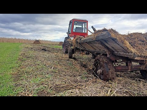 Видео: У полі вода, куди везти гній? Т 25 в роботі!