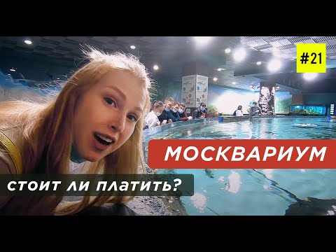 Видео: МОСКВАРИУМ НА ВДНХ (в Что посмотреть и Сколько Стоит)