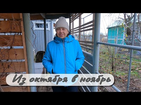 Видео: Из октября в ноябрь