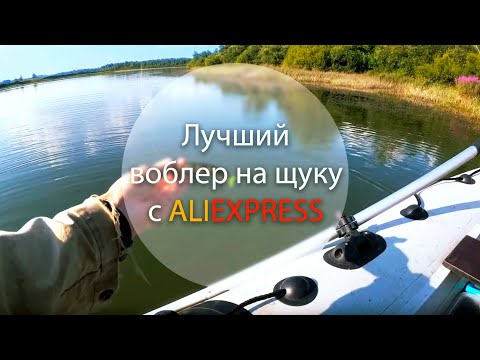 Видео: Лучший воблер на щуку с алиэкспресс. ЛОВИТ ДАЖЕ В БЕЗКЛЁВЬЕ! Готовимся к сезону. Выпуск 1.