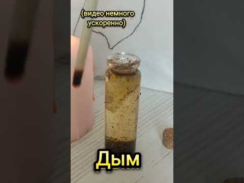 Видео: ведьмы травницы из тт