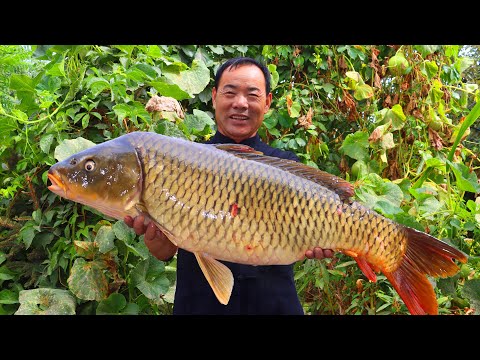 Видео: ГИГАНТСКАЯ карповая рыба с самым специальным рецептом! Тушится вместе с брюшком свинины
