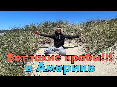 Видео: Побережье Тихого Океана. Орегон. Ловим крабов.