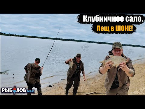 Видео: Попал на раздачу осеннего леща. Клубничное сало для леща. Лещ на сало осенью. Рыбалка ночью на Волге