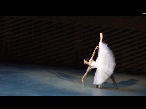 Видео: М.Нагахиса (M.Nagahisa), Ф.Стёпин (P.Stepin), 2-10-22