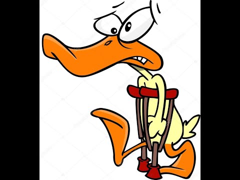 Видео: Хромые утки Казахстана.