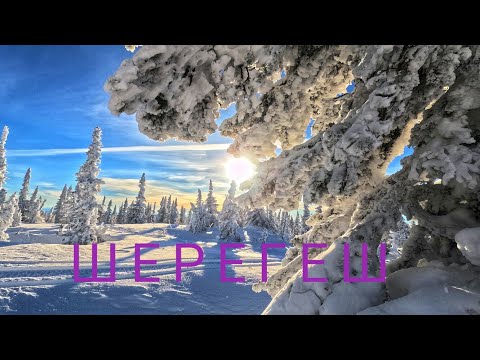 Видео: ШЕРЕГЕШ.🌤🐾❄Уехали в Зимнюю сказку/Sheregesh 2023/2024#шерегеш#зимняясказка