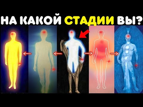 Видео: 5 стадий духовного пробуждения | На какой стадии вы находитесь?