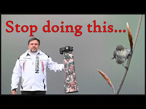 Видео: 5 привычек, которые мешают вам совершенствоваться в фотографии дикой природы.