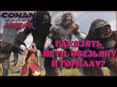 Видео: Conan Exiles - КАК ПОЛУЧИТЬ ОЧЕНЬ РЕДКИХ СПУТНИКОВ? СЮЖЕТНЫЙ КАМЕНЬ КАРЫ И ЧЕРНЫЙ ЙЕТИ!