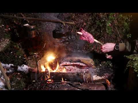 Видео: "Ленивая  нодья". О дружбе человека и собаки.Ночь под выворотнем