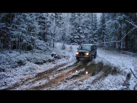 Видео: Старое место удивило... #361