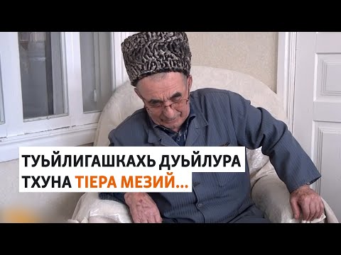 Видео: Хаджимурадов Iумар: Туьйлигашкахь дуьйлура тхуна тIера мезий...