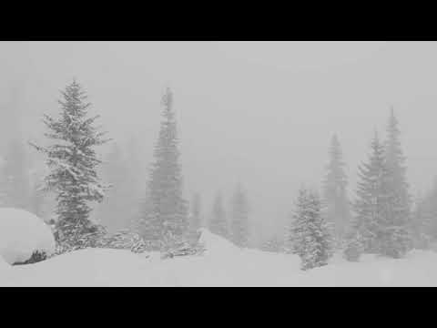 Видео: MNOGOZNAAL - Белый кролик ( slow )