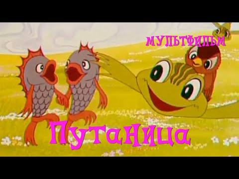 Видео: Путаница (1982) Мультфильм Ирины Гурвич