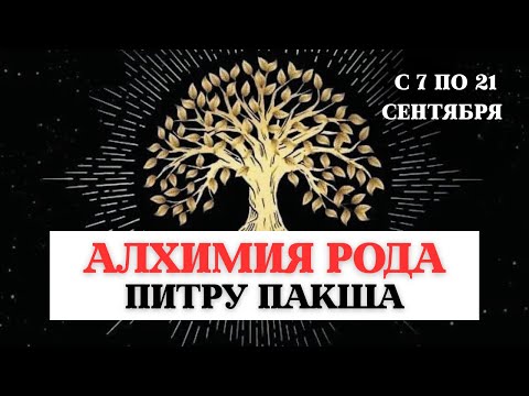 Видео: ЭТО НУЖНО ЗНАТЬ , АЛХИМИЯ РОДА- ПИТРУ ПАКША, СИЛА ТВОЕГО РОДА, ПРАКТИКИ И РИТУАЛЫ