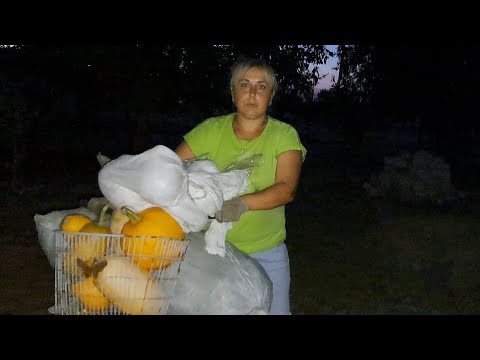 Видео: Да уж извините! Лодырь нам не нужен
