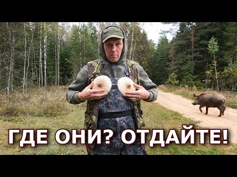 Видео: Блииин... Несколько дней рвал лес и вот что я нашел!
