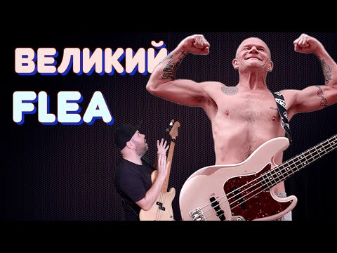 Видео: Анализ уникального мелодизма ФЛИ на примере его басовых линий / УЧИТЬСЯ У ВЕЛИКИХ