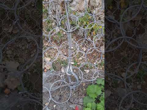 Видео: Лаго-Наки сейчас. Новая дорога на плато.