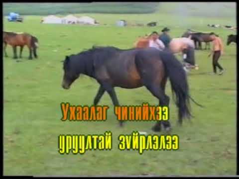 Видео: Цэцгэн зүйрлэл Монгол дууны караоке