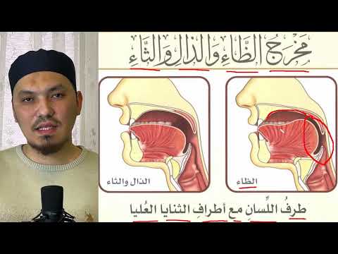 Видео: МАХРАДЖ ЗО (الظاء), ЗАЛЬ (الذال), СА (الثاء) | БУКВЫ КОНЧИКА ЯЗЫКА И КРАЯ ПЕРЕДНИХ ВЕРХНИХ ЗУБОВ