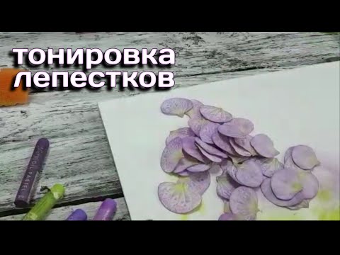 Видео: Гортензия из фоамирана часть 2 - тонировка