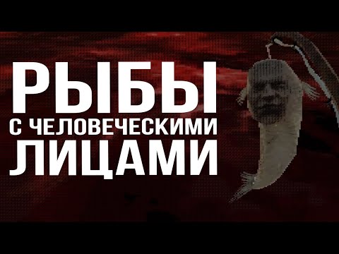Видео: САМАЯ РАССЛАБЛЯЮЩАЯ РЫБАЛКА ► Mourning Tide