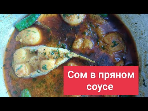 Видео: Индия. Рецепт сома в пряном соусе!