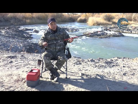 Видео: ОЛЖА - ЛЕПСІ ӨЗЕНІ. АҚСЫЛА БАЛЫҒЫ/ ЖЕРЕХ (01.11.20)