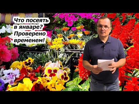Видео: Что посеять в январе и стоит ли вообще начинать посевы на рассаду так рано?