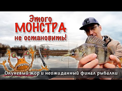 Видео: Попал на стаю ОКУНЯ и проверил японские снасти когда клюнул МОНСТР! Рыбалка на спиннинг с берега