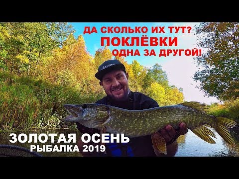 Видео: ЛОВЛЯ ЩУКИ ОСЕНЬЮ. Твичинг на Малой Реке. РЕКА ШИКАРНА. Спиннинг. Рыбалка на Воблер.