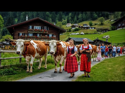 Видео: Самая красивая деревня Швейцарии _ Аппенцелль🇨🇭Швейцарская корова возвращается домой из Альп
