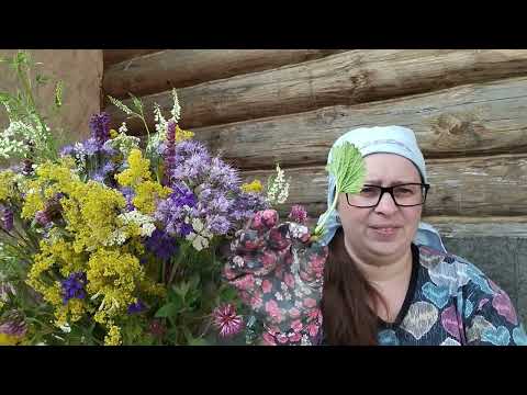 Видео: Посадка усов клубники на рассаду: секреты успешного размножения