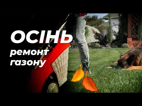 Видео: Ремонт газону восени. Простий алгоритм по відновленню: Скарифікація, аерація, підсів та підживлення