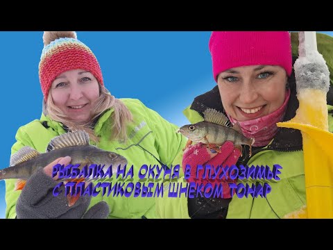 Видео: Рыбалка на окуня в глухозимье с пластиковым шнеком Тонар