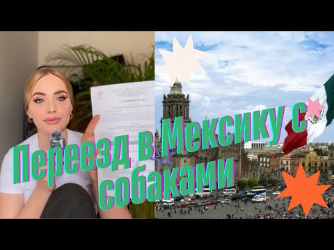 Видео: Переезд в Мексику с собаками . Почему Мексика ? Какие документы нужны? Цена переезда? Мои мысли