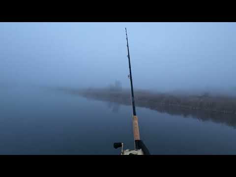 Видео: Закрываю сезон с крупными джерками. Трофеи просто так не даются.