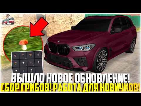 Видео: ВЫШЛО НОВОЕ ОБНОВЛЕНИЕ НА ПРОВИНЦИИ... СБОР ГРИБОВ! РАБОТА ДЛЯ НОВИЧКОВ! - MTA PROVINCE