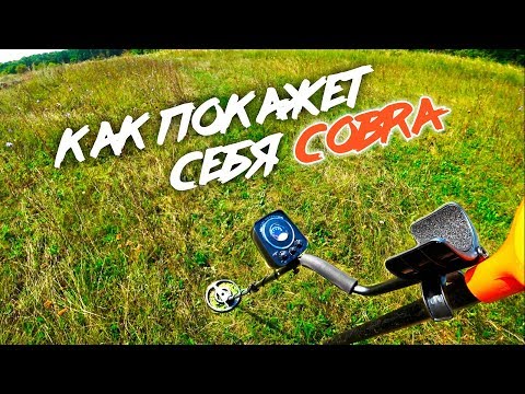 Видео: НАЙТИ ЖЕЛЕЗО С МЕТАЛЛОИСКАТЕЛЕМ COBRA T250!!! Коп металлолома