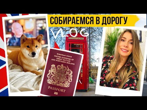 Видео: МЕНЯЕМ ПАСПОРТ! ЛОНДОН 🇬🇧 О МОЕЙ ПСИХОТЕРАПИИ + Косметичка в дорогу 🧳 ЖИЗНЬ В АНГЛИИ 🇬🇧
