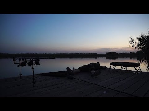 Видео: осенью на карпа с ночевкой 2023. поклевки не давали спать. 4K