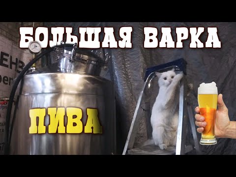 Видео: Большая варка пива на ПВК 160.Как отфильтровать пиво.