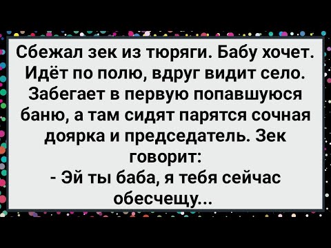 Видео: Как Беглый Зек Хотел Доярку Обесчестить! Большой Сборник Свежих Смешных Жизненных Анекдотов!