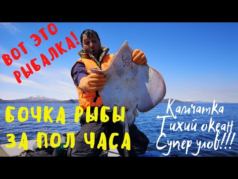 Видео: Рыбалка на Камчатке. Рыбалка Камчатка 2020.  Морская рыбалка Тихий океан 2020. Треска, скат. Fishing