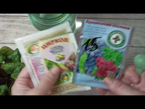 Видео: 🌞Спасаю Цикламены от Жары: уход в Июне и Июле 🌻 Мои способы 🌻 Часть 6